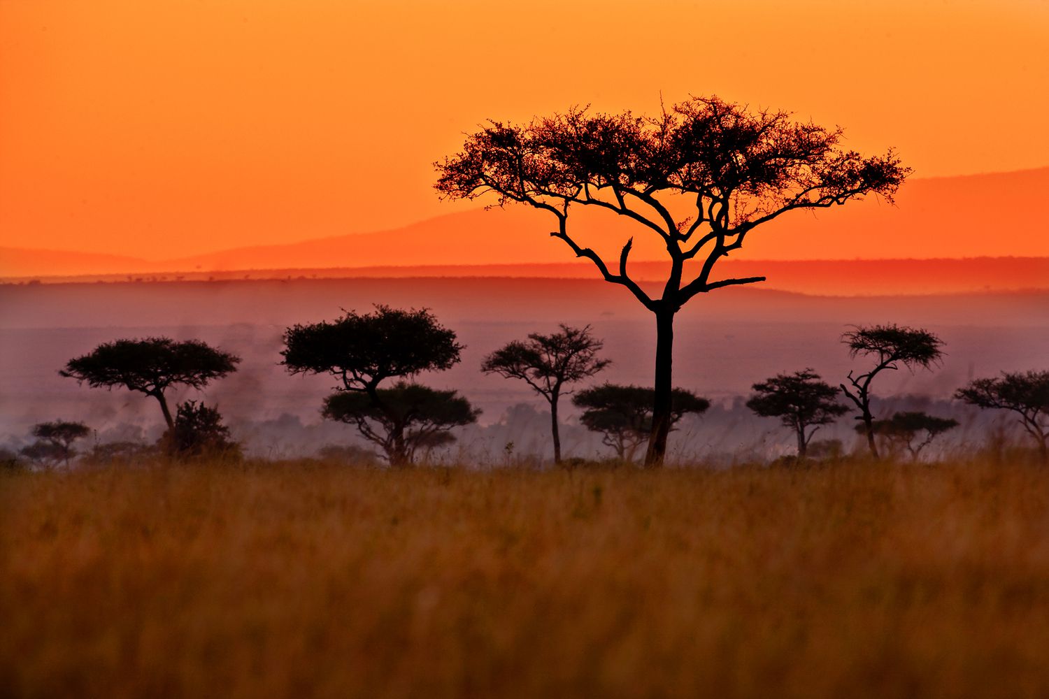 South Africa Image