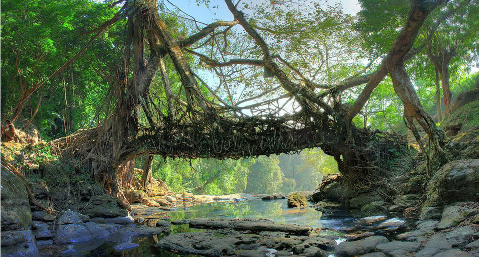 Shillong Cherrapunji Tour Package (6D/5N) Image