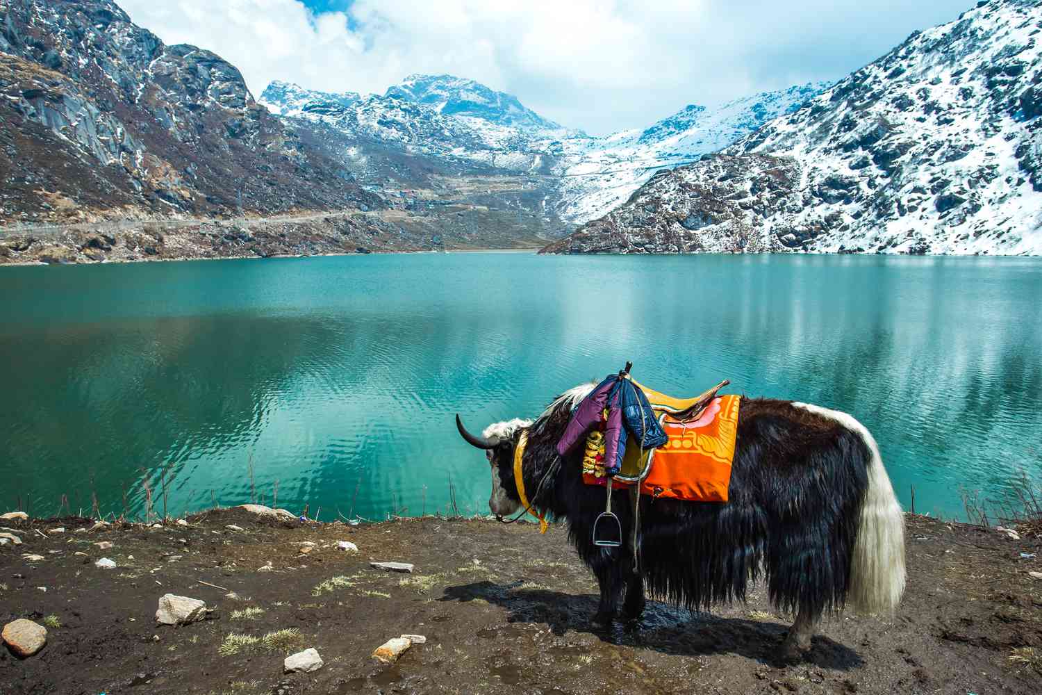 Sikkim Image