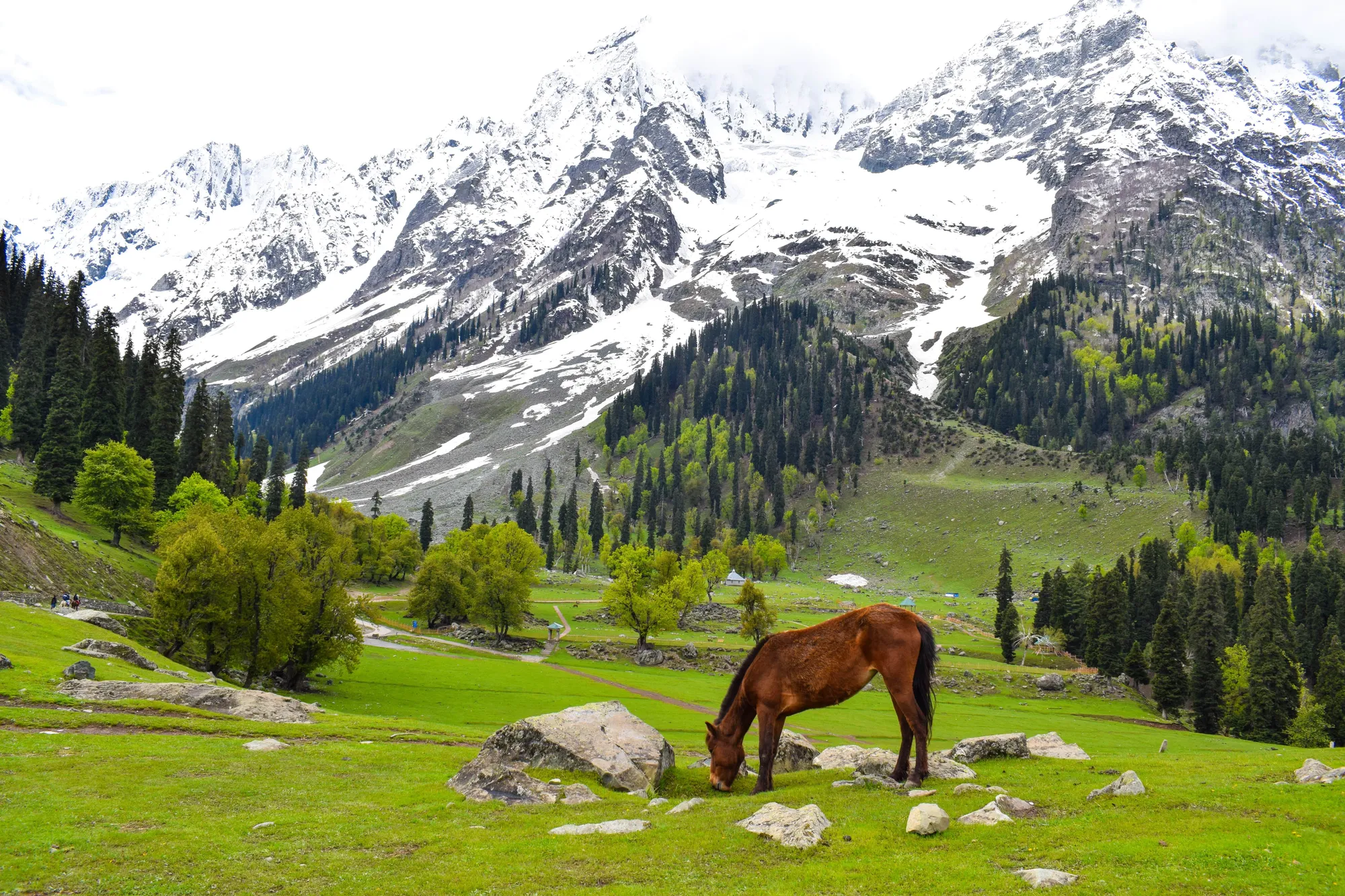 Kashmir Image