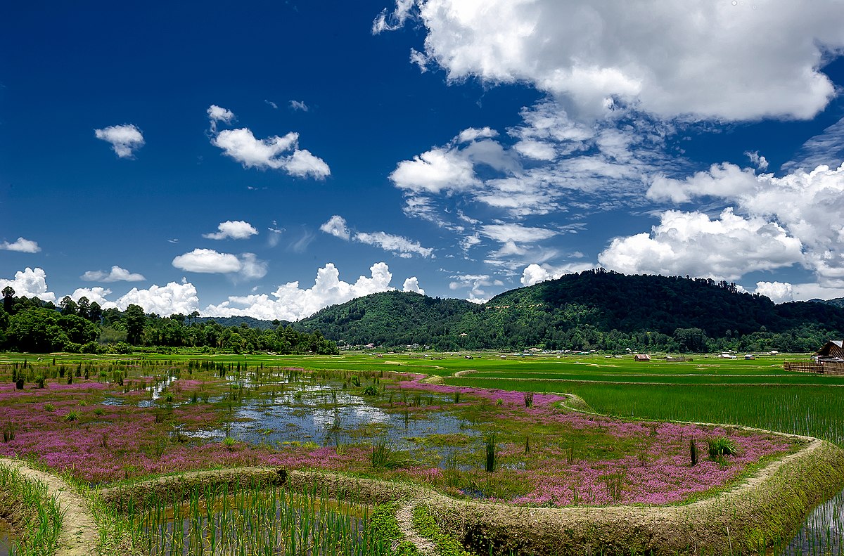 Ziro Tour Package (5D/4N) Image
